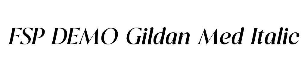 FSP DEMO Gildan Med Italic