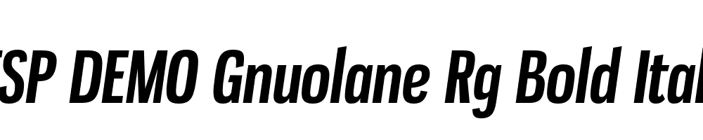 FSP DEMO Gnuolane Rg Bold Italic