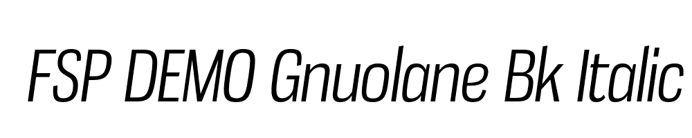 FSP DEMO Gnuolane Bk Italic