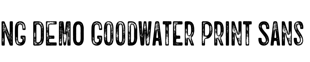  DEMO Goodwater Print Sans 4 Regular