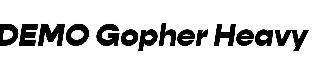 FSP DEMO Gopher Heavy Italic