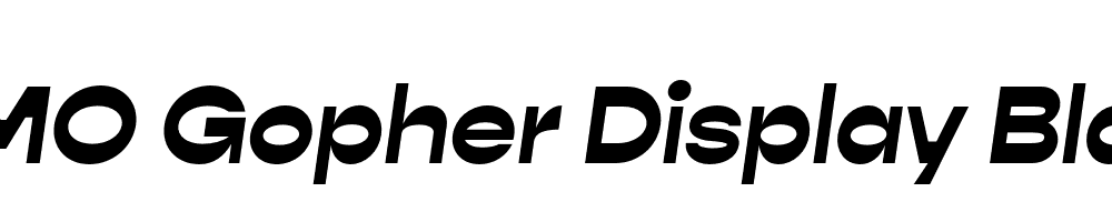 FSP DEMO Gopher Display Black Italic