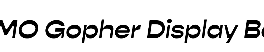 FSP DEMO Gopher Display Bold Italic