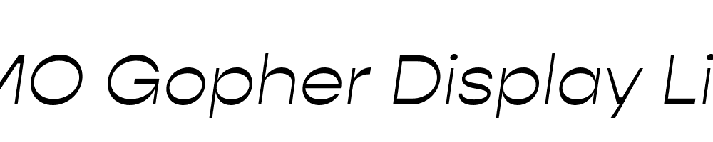 FSP DEMO Gopher Display Light Italic