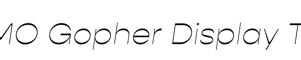 FSP DEMO Gopher Display Thin Italic