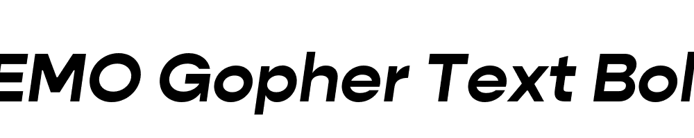 FSP DEMO Gopher Text Bold Italic