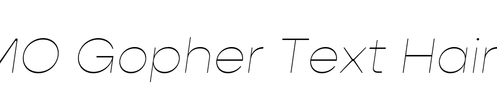 FSP DEMO Gopher Text Hairline Italic