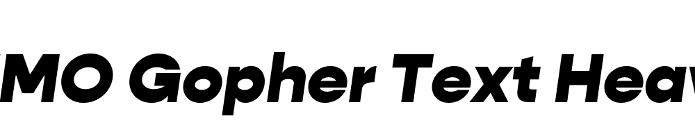 FSP DEMO Gopher Text Heavy Italic