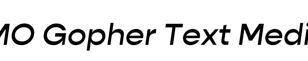 FSP DEMO Gopher Text Medium Italic