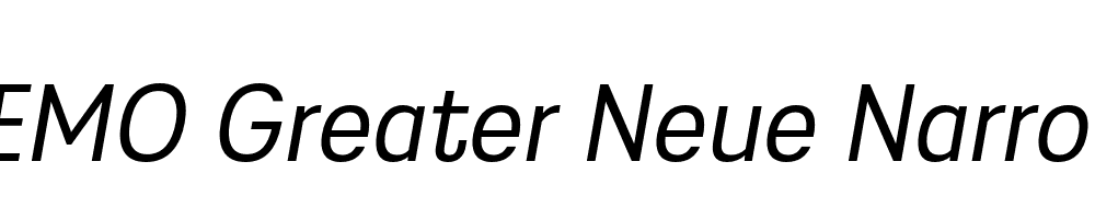 FSP DEMO Greater Neue Narrow Italic