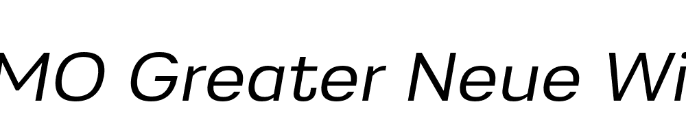 FSP DEMO Greater Neue Wide Italic