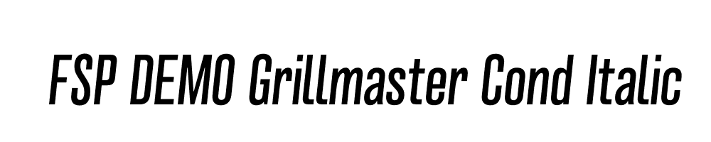 FSP DEMO Grillmaster Cond Italic