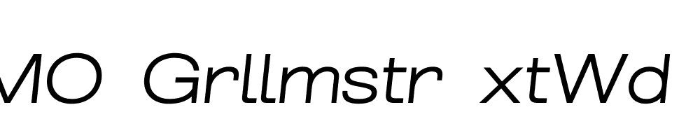 FSP DEMO Grllmstr xtWd Lght Italic