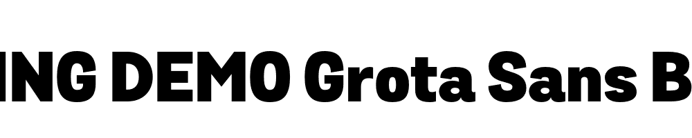  DEMO Grota Sans Black Black