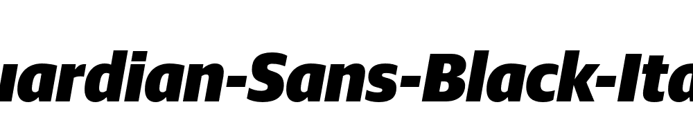 Guardian-Sans-Black-Italic