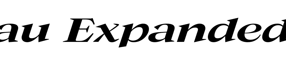 FSP DEMO Guau Expanded Italic Regular