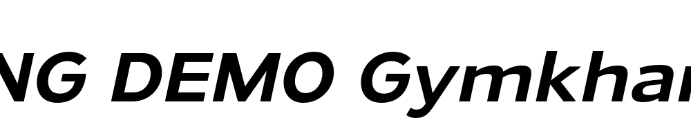  DEMO Gymkhana Rg Italic