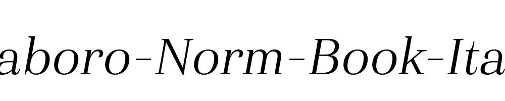 Haboro-Norm-Book-Italic