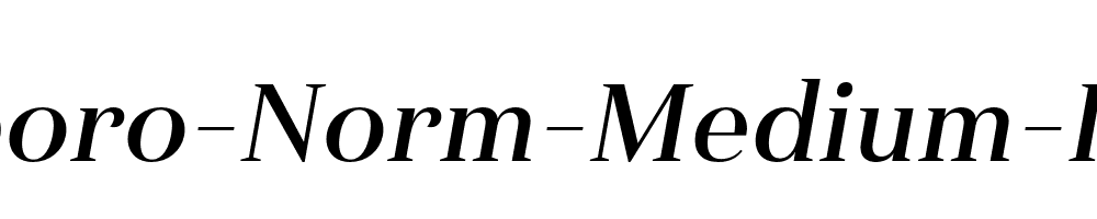 Haboro-Norm-Medium-Italic