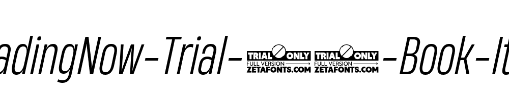 HeadingNow-Trial-43-Book-Italic