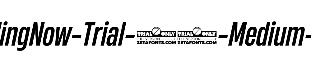 HeadingNow-Trial-45-Medium-Italic