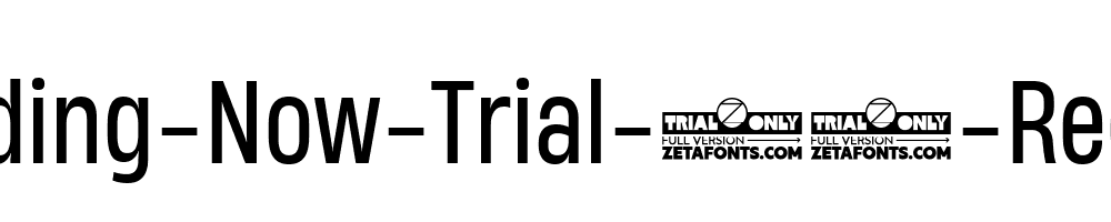 Heading-Now-Trial-54-Regular