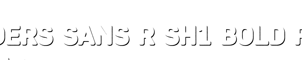  DEMO Heiders Sans R Sh1 Bold R Sh1 Bold