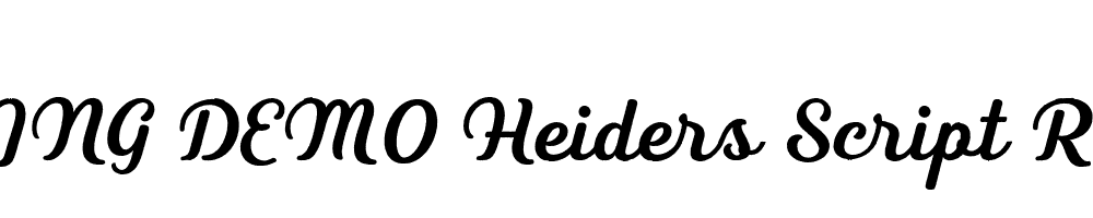  DEMO Heiders Script R Bold R Bold