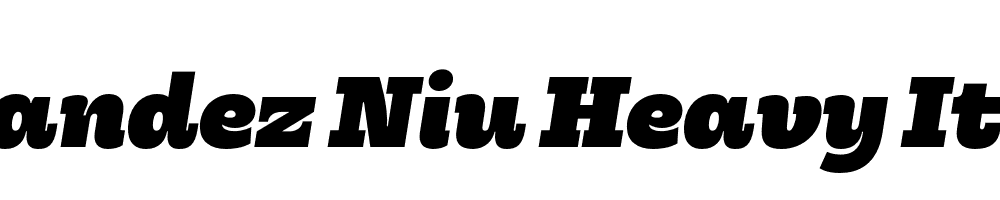  DEMO Hernandez Niu Heavy Italic Regular