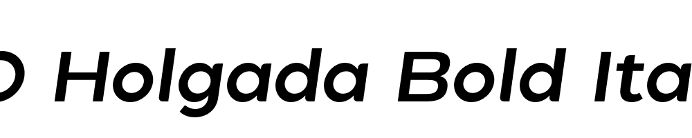 FSP DEMO Holgada Bold Italic Regular