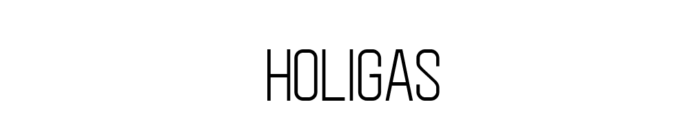 Holigas