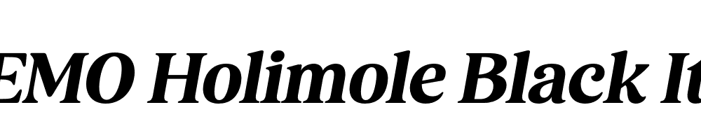 FSP DEMO Holimole Black Ita Italic