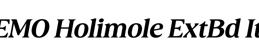 FSP DEMO Holimole ExtBd Ita Italic