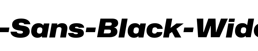 Hubot-Sans-Black-Wide-Italic