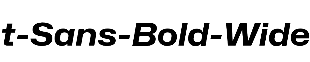 Hubot-Sans-Bold-Wide-Italic