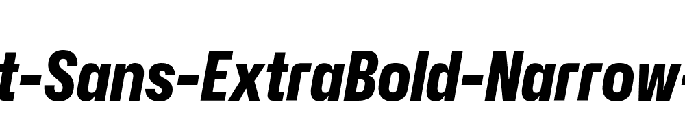 Hubot-Sans-ExtraBold-Narrow-Italic