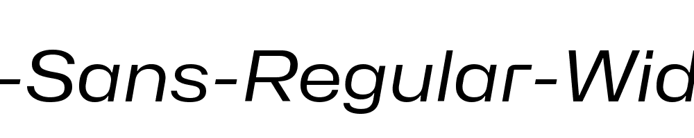 Hubot-Sans-Regular-Wide-Italic