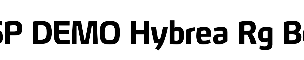 FSP DEMO Hybrea Rg Bold