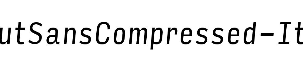 InputSansCompressed-Italic