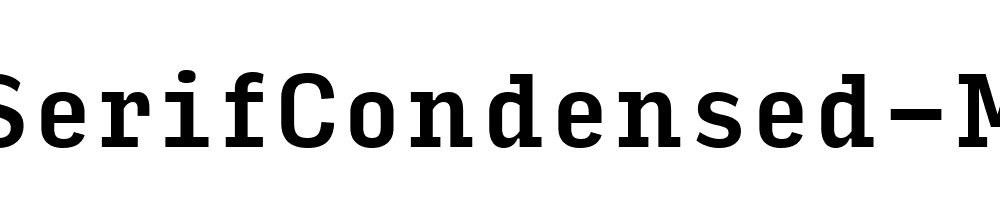 InputSerifCondensed-Medium