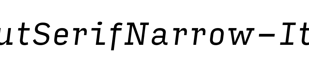 InputSerifNarrow-Italic