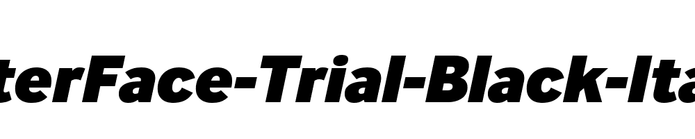 InterFace-Trial-Black-Italic