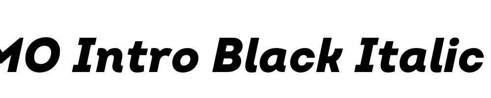 FSP DEMO Intro Black Italic Regular