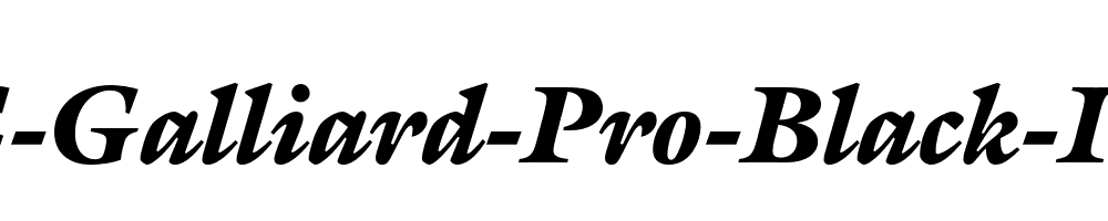 ITC-Galliard-Pro-Black-Italic