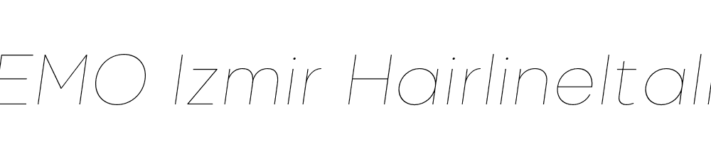 FSP DEMO Izmir HairlineItalic Italic