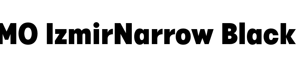 FSP DEMO IzmirNarrow Black Regular