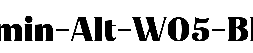 Jazmin Alt W05 Black