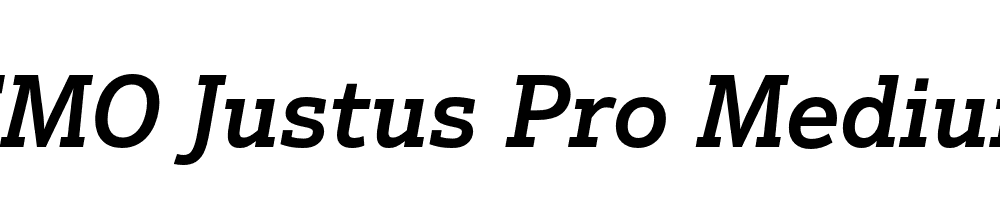 FSP DEMO Justus Pro Medium Italic