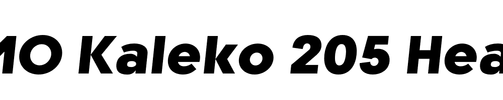 FSP DEMO Kaleko 205 Heavy Italic