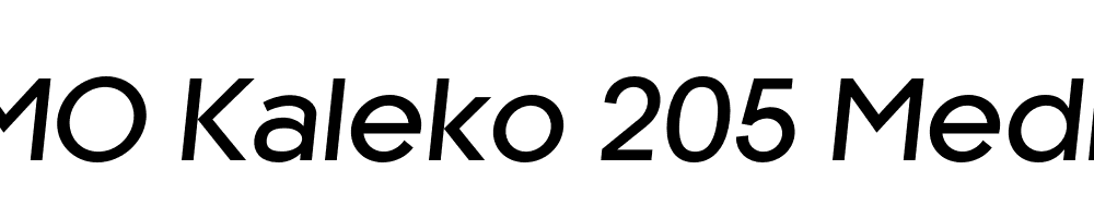 FSP DEMO Kaleko 205 Medium Italic